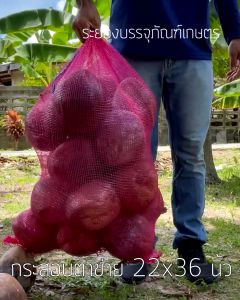 แพคละ 25 50 ใบ กระสอบตาข่าย 22x36 นิ้ว สีบานเย็น เนื้อหนา กระสอบตาข่าย กระสอบตาข่าย ถุงตาข่าย ผลิตในไทย