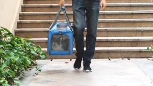 Large Cat Mesh CarrierPortable Foldable Dog Pet CarrierSoft-Sided Pet HandbagAirline Approve Travel Puppy Carrier
