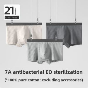 MiiOW | Disposable Pure Cotton Underwear Day Throw Mens Travel Essentials No Wash Catman Boxer Briefs Male Underpants High Sanitary Level