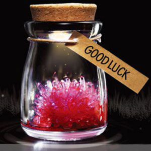 DIY Crystal Growing Wishing Bottle Graduation Gift Educational Toy Self-Sown Lucky Star Planting Creative Home Decoration
