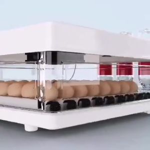 220V/12V Fully Automatic Incubator 48/130 Egg Incubator Digital Hatcher Brooder with Temperature Control and Auto Turning for Hatching Chicken Duck Goose Quail Birds Incubators for Farm