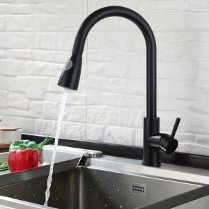 Dual Outlets Adjustable Temperature Stretchable Kitchen Faucet