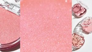 Canmake Tokyo Cream Cheek Pearl Type 2.3g Direct from Japan