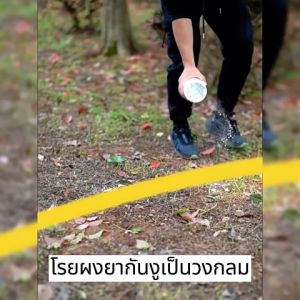 🐍ปกป้องยาวนาน90วัน🚫ผงไล่งู ไล่แมลง สารไล่งู ไล่แมลงและสัตว์เลื้อยคลาน กำมะถันเหลือง ปลอดภัยต่อผู้ใช้ ไม่กลัวฝน ผงกำมะถันบรรจุถุง สัตว์เลื้อยคลาน กำมะถัน ยาไล่งูสูตรเข้มข้น ผงไล่งูเข้มข้น กำมะถันไล่งู ผงกำมถันไล่งู Drive Snake