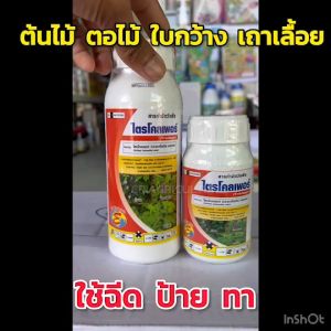 ไตรโคลเพอร์ (ซิกม่า) **ใช้ฉีด ป้าย ทา** สารกำจัดวัชพืช สารกำจัดตอไม้ สารกำจัดต้นไม้ ตอไม้ ต้นไม้ เถาเลื้อย ใบกว้าง พ่นทับข้าว อ้อย ข้าวโพด