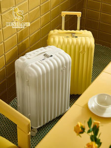 High Aesthetic 20 Inch Womens Luggage Suitcase Boarding Box Cute Password Box 24 Inch Pullman ABS PC Material Travel Bag