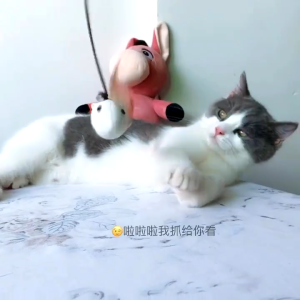 Wooden Pet Cat Stick Wood Cat Teaser Fun Toy