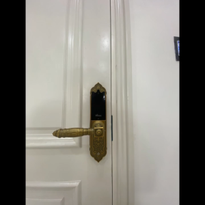Khóa cửa vân tay tân cổ điển Demax EL280 Gold app wifi chính hãng công nghệ Đức sang trọng cao cấp