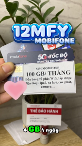Sim 12MFY Mobifone 100GB/Tháng ( Dung Lượng Không Chia Theo Ngày ) Trọn Gói 12 Tháng Không Nạp Tiền Không Phát Sinh Cước. FREESHIP - CHƯA KÍCH HOẠT