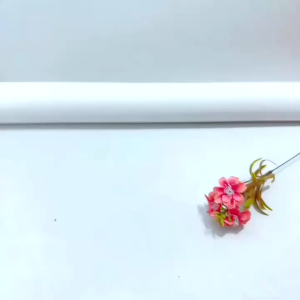 Set 5 Nút bịt đầu bàn chải đi du lịch C49 tiện dụngnắp đậy bàn chải chống bụi TTNTC49