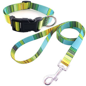 Portable Retractable Pet Rope: A Comprehensive Guide