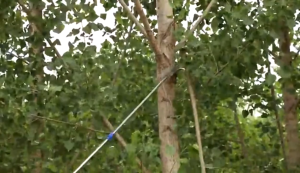 Telescopic 1.5-7M High Precision Branch Pruner–Saw&Fruit Picker Hook Multi-Functional Gardening Tool