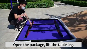 Table Tennis Pingpong Table with post and net without wheels
