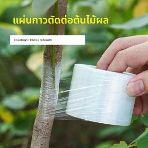 ฟิล์มพันต้นไม้ชนิดพิเศษแบบมีกาวในตัวสำหรับต้นไม้ผลไม้ในสวน ไม่เกิดปม ฟิล์มม้วนเล็กสำหรับยืดลำต้นต้นไม้