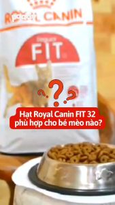 [10kg-15kg] Hạt Cho Mèo Trưởng Thành Vận Động Thường Xuyên Royal Canin Fit 32