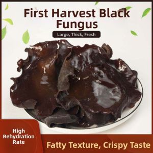 Non-wild Dried Autumn Ear Fungus 500g