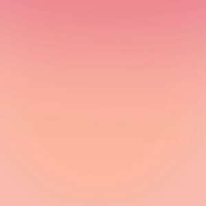 English Book : What You Are Looking For Is in the Library By Michiko Aoyama | Contemporary Fiction