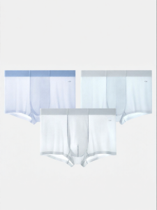 Secret World | Antibacterial Breathable Quick-drying Seamless Mens Underwear