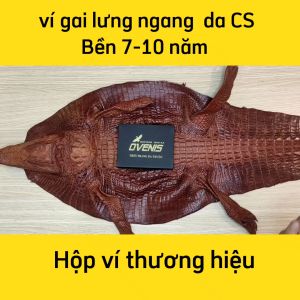 [FREE SHIP] VÍ BÓP CÁ SẤU GAI LƯNG BẢN ĐẸP