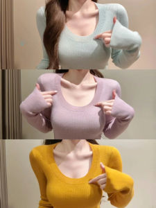 Dopamine Purple Cashmere Knitted Low Neck Base Shirt Womens Autumn Winter Pure Desire Sweater Inner Low Top Shirt Commute Style Slim Fit Citywalk