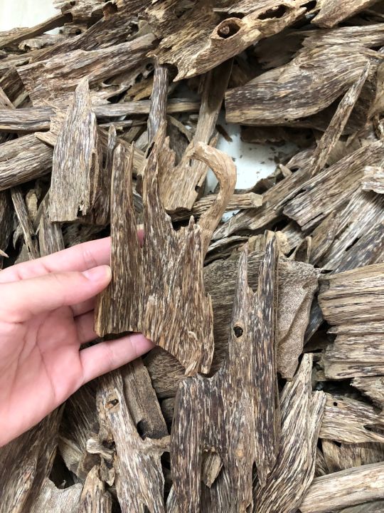 [Nhiều trọng lượng] Kiến xí Thượng hạng dầu đậm trầm tích lâu năm ...