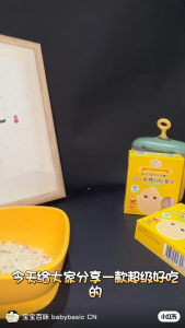 Baby Basic Organic 3 in 1 Baby Germ Rice for 6 Months Above Combo Set