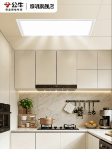 Bull | Ultra-bright Kitchen Ceiling Light