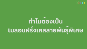 บียอนด์ ไลฟ์ เซนเชียล Beyonde life Sential ผลิตภัณฑ์เสริมอาหารเพื่อสุขภาพดี