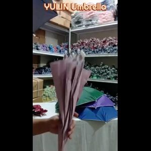 Head Umbrella (adult)