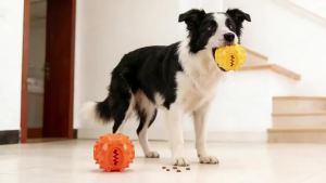 Dog Interactive Chew Treat Dispensing Ball - Self-Play Boredom Relief Bite-Resistant Teeth Cleaning Pet Toy