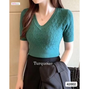 Women’s Korean Solid Color V- Neck Casual Slim Knitted Short Sleeve Crop T-Shirt. Women Tops韩国纯色V领休闲修身针织短袖裁剪T恤