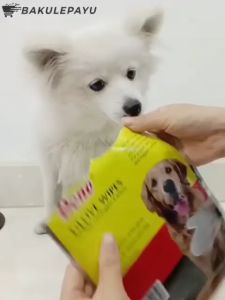 Tisu Basah Sarung Tangan Hewan Dono Glove Wipes Tissu Anjing Kucing Satuan