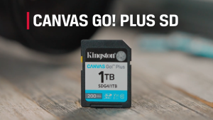 Kingston Canvas Go! Plus (Gen 4) SD memory card - Canvas Go Plus | for DSLRs mirrorless cameras and 4K video [64GB/128GB/256GB/512GB]