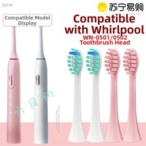 Initial June Compatible with West House Electric Toothbrush Head WN-0501/WN-0502 Universal Replacement Toothbrush Head Deep Cleaning Adult Hardness