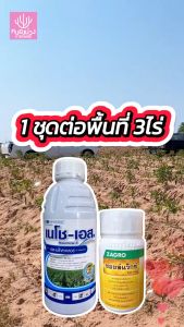สารคุมวัชพืช ไม่มีฤทธิ์กำจัด เนโช-เอส หญ้าใบแคบ หญ้าล้มลุก ขนาด 1 ลิตร เนโช เอส Necho Es - Lazada