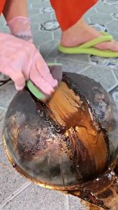 Miếng chà nồi miếng nhám chùi rửa đa năng độ ma sát cao chà các vết bẩn cứng đầu miếng nhám cọ xoong nồi miếng rửa chén