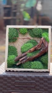 Moss Wall Artifical / Tanaman Hias Dinding / Pajangan Dinding / Lumut Sintetis / Moss Sintetis