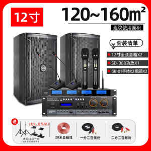 Modern Professional Sound System Set for Dance Studio Classroom Training Multi-Function Hall Wall-Mounted Speaker in Meeting Room