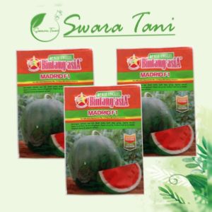 Benih Bibit Semangka MADRID F1 20gram - Bintang Asia