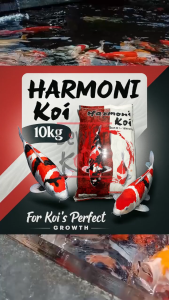 Pakan Ikan Koi Harmoni 10Kg Size M 5mm – Pelet Apung Pertumbuhan Cepat & Warna Cerah