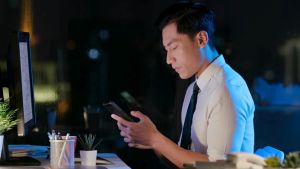 Kapsul Bilberry HNI HPAI: Suplemen Mata Alami untuk Kesehatan