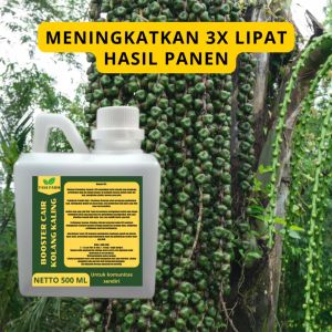 Pupuk Pelebat Kolang-kaling / Pupuk Kolang Kaling / Booster Kolang Kaling / Pupuk Kolang Kaling