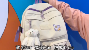 Canvas Womens Backpack Students School Bags for Girls Teenager Cute Multi-pocket Schoolbag Rucksack Handbags Laptop Backpack