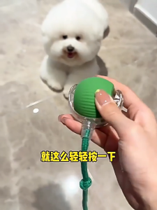Pet Electric Toy LED light Colorful Gradient light Auto Running Catching Ball Interactive Toy [USB Charging] For Cats & Dogs