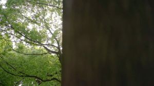 Nồi chảo dã ngoại Titanium NatureHike NH18T010-A NH18T020-B NH18T101-A NH18T202-B NH18T303-C