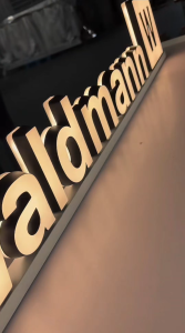 Custom Brushed & Mirror Electroplated Stainless Steel Backlit Letters | Storefront Logo Billboard Sign
