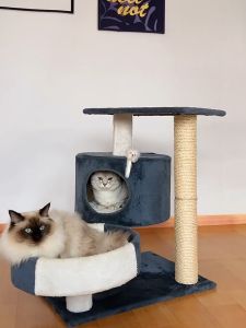 Trụ cào móng mèo ( Cattree) 🐶 FREE SHIP🐶 2 tầng có nệm