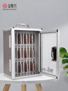 GOLDLONSEN | Smart Password Mobile Storage Box