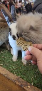 MaxBunny HAY SNACK untuk Kelinci Guinea Pig Hamster & Small Animal ~ Snack / Cemilan / Makanan Kelinci - Timothy Hay Grass