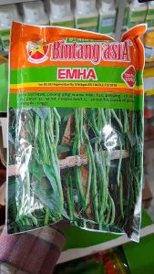 BENIH BUNCIS EMHA BINTANG ASIA TOLERAN VIRUS BENIH CITRA ASIA